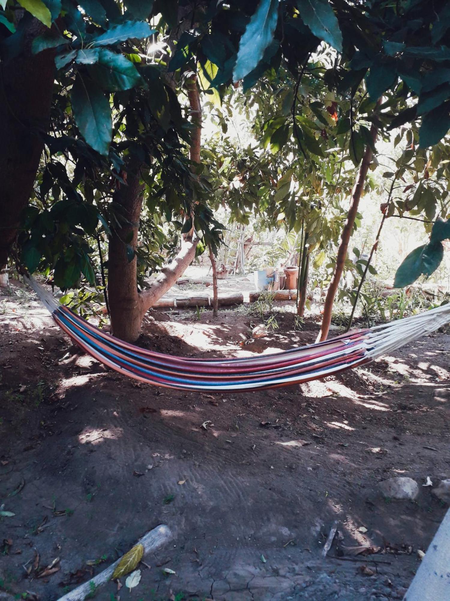 Casa Rivera *