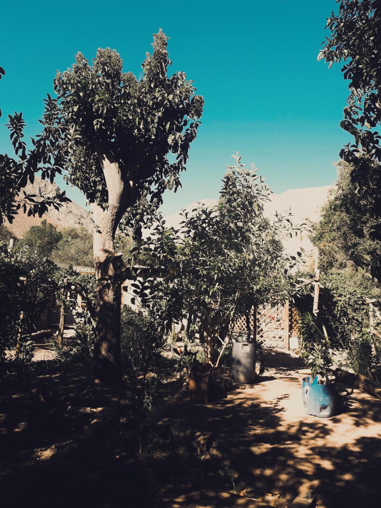 Casa Rivera Chácara *